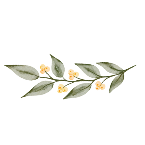 Fotograf Altenburg Janet Quaas